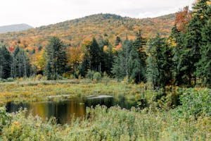 Scenic view of autumn foliage and pond in Vermont forest, USA.